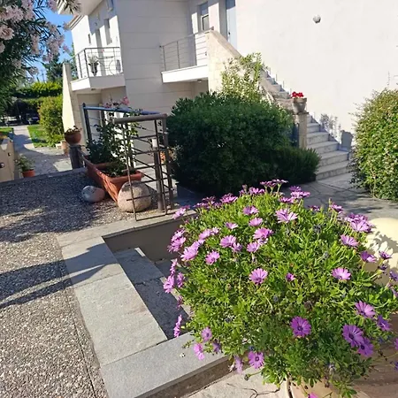 Ampeli Garden *