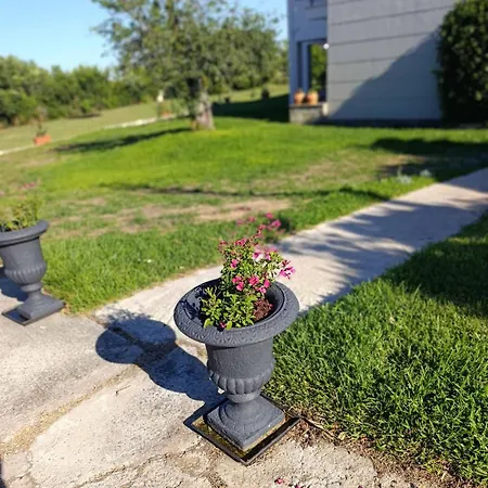 Apartment Ampeli Garden